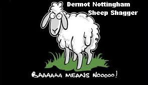 Dermot Nottingham Sheep Shagger